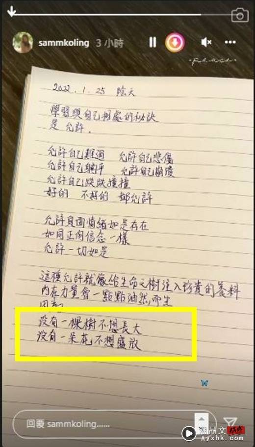 高海宁曝光手写日记 “一句话”疑默认离巢 娱乐资讯 图1张
